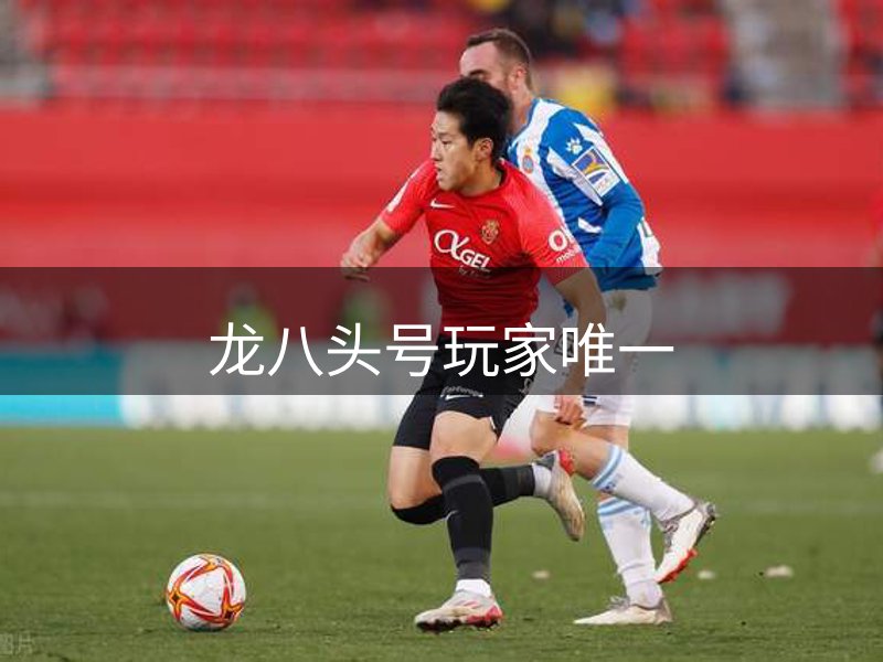 针织牛仔布厂家